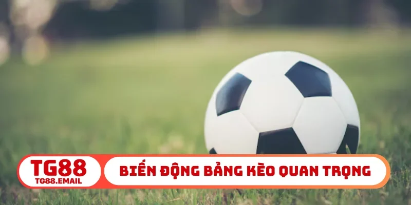 Biến động bảng kèo rất quan trọng