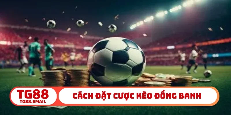 Cách đặt cược kèo đồng banh