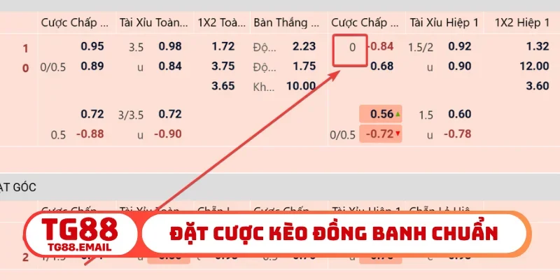 Cách đặt cược kèo đồng banh chuẩn