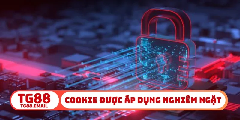 Cookie được áp dụng nghiêm ngặt