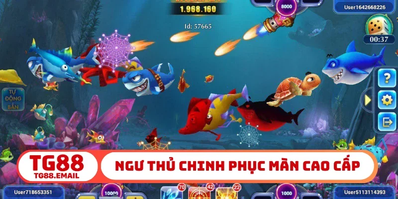 Ngư thủ chinh phục màn cao cấp