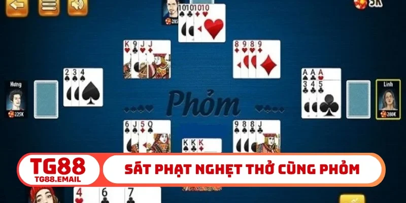 Sát phạt nghẹt thở cùng phỏm